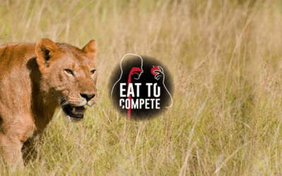 Eat To Compete